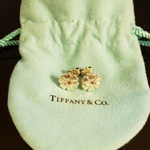 Tiffany & Co. Earrings